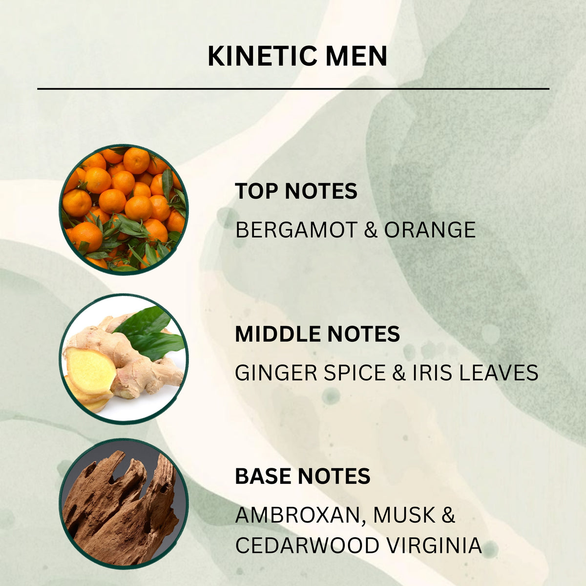 A graphic titled 'KINETIC MEN' showing fragrance notes with circular ingredient-style photos: oranges and bergamot at the top, ginger and iris leaves in the middle, and brown wood notes at the bottom on a pale abstract background.
