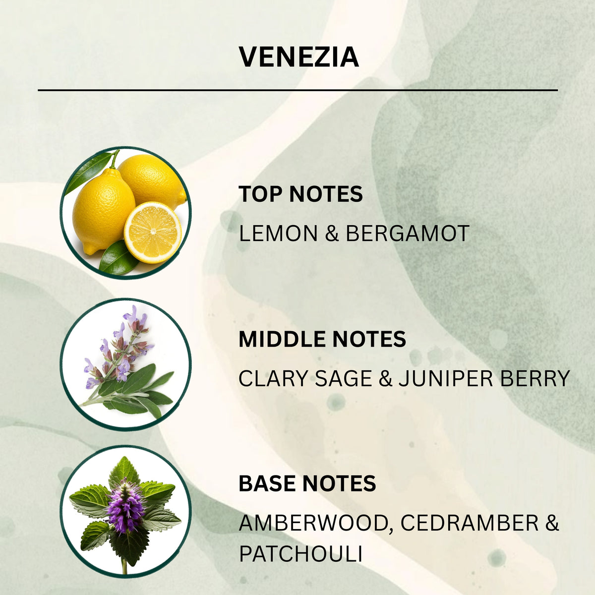 A fragrance notes graphic labeled VENEZIA, with circular ingredient photos of lemons, purple flowers, and a minty herb sprig alongside text for top, middle, and base notes on a soft abstract background.
